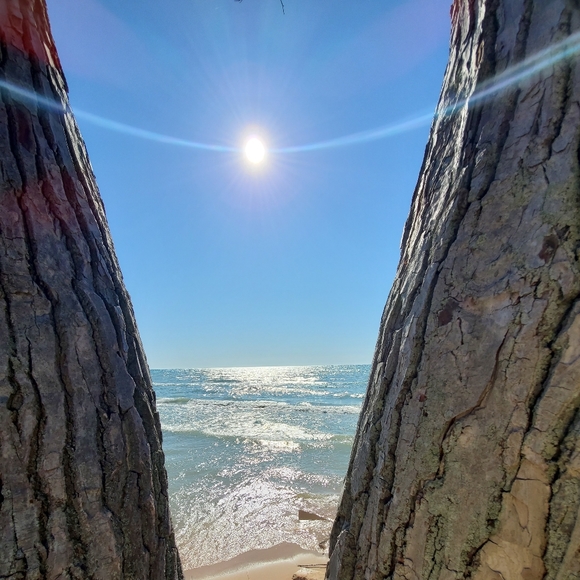 Meet your Posher, Stacey - Picture 1 of 1